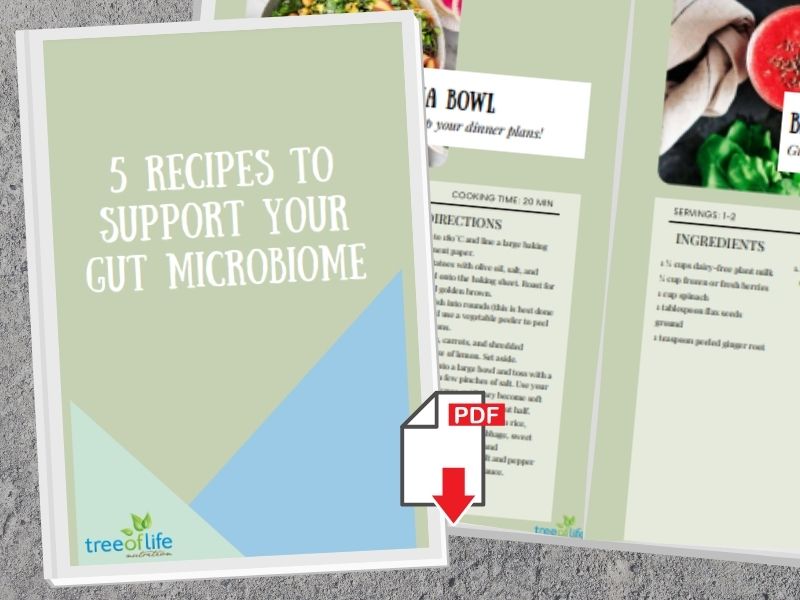 5 recipes to support your gut microbiome ebook